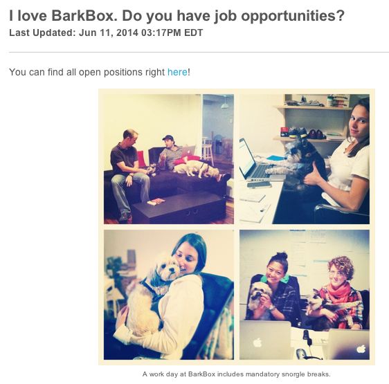 BarkBox's recruiting image