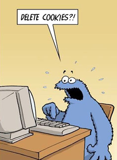 Google Analytics Cookie Monster - Delete cookies!?