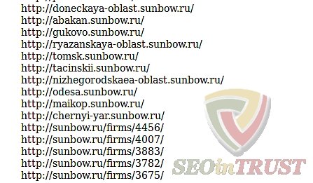 find duplicate content