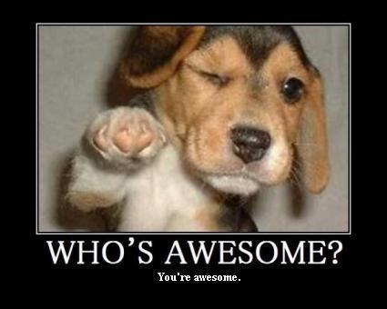 Who's Awesome? by John Sloan, on Flickr