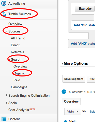 Select Traffic Sources, Sources, Search, Organic