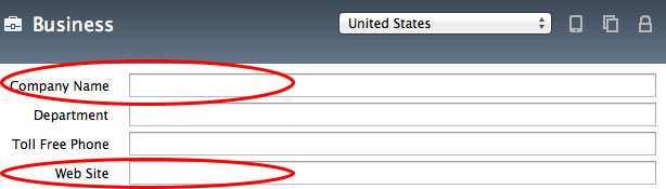 Roboform Business Category Field To Use