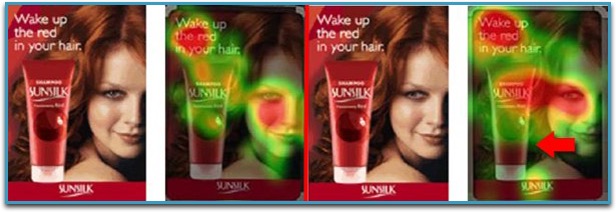 They Look Where You Look