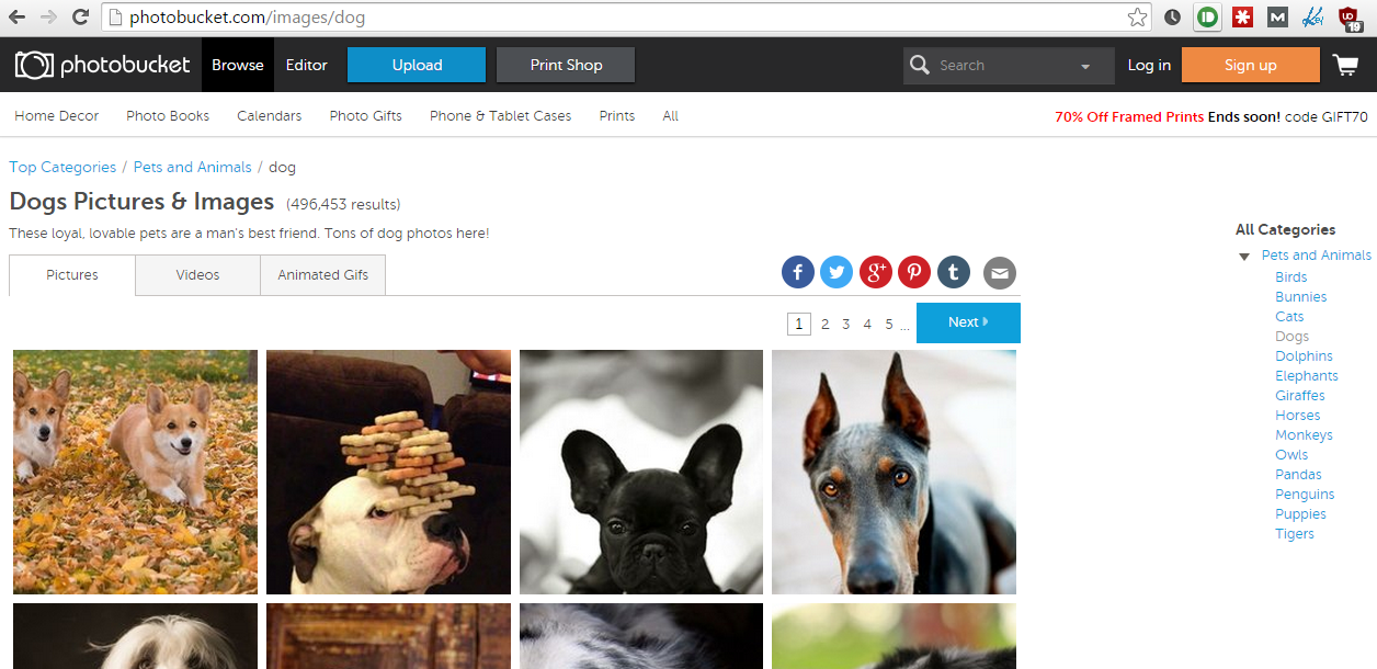free text generated page with categories