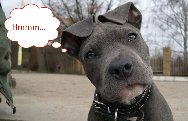 A curious prospect is a listening prospect.