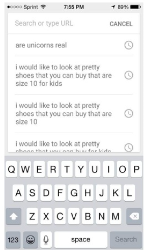 Tom Anthony Daughter Queries.png