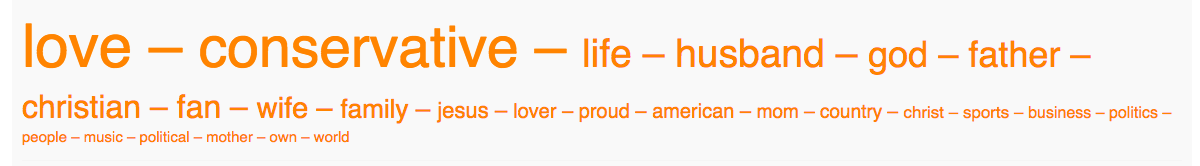 01b - cruz word cloud.png