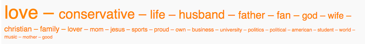 01c - rubio word cloud.png