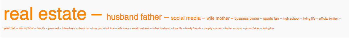 02 - trump two word cloud.png