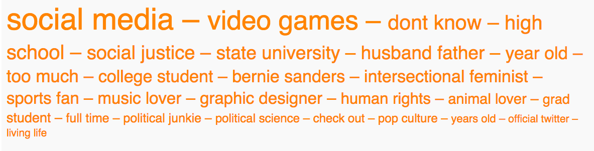 04 - sanders two word cloud.png
