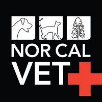 NorCalVets