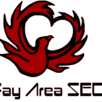 bayareaseospecialist