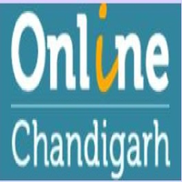 seocompanyinchandigarh