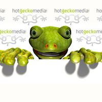 HotGeckoMedia