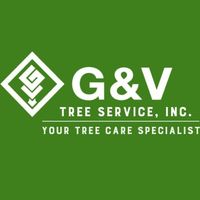treeservicealex