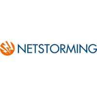 netstorming