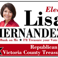 voteforlisa