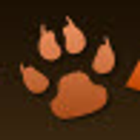 australianlabradoodlesau