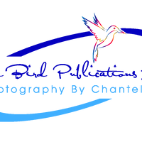 Free_Bird_Publications_Ltd