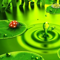 constantineanastopoulo