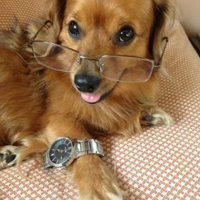 FerdinandTheBarketer