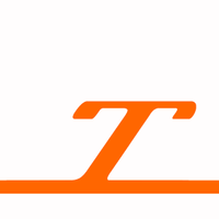 townervibratoguitarparts