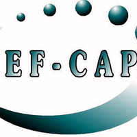 Tef_Cap