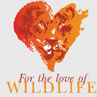 loveofwildlife