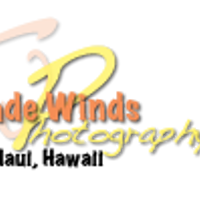TradeWindsPhotography
