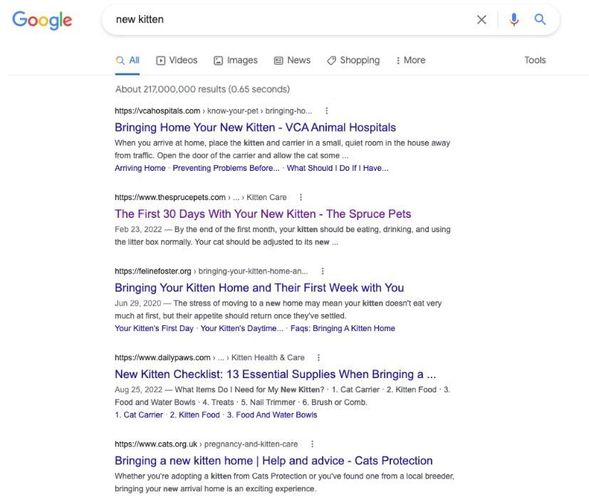 SERP results new kitten