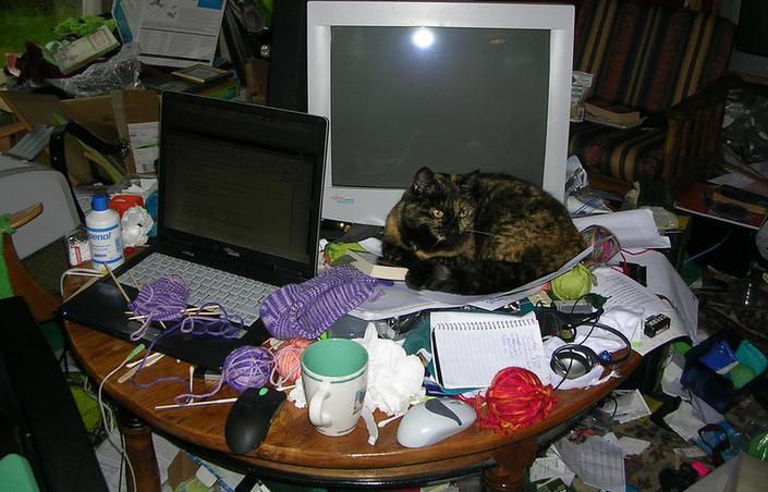 Cat sitting on a messy table beside a laptop, computer monitor, mug, wool and other items.