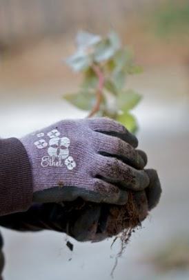 Closing Business Locations