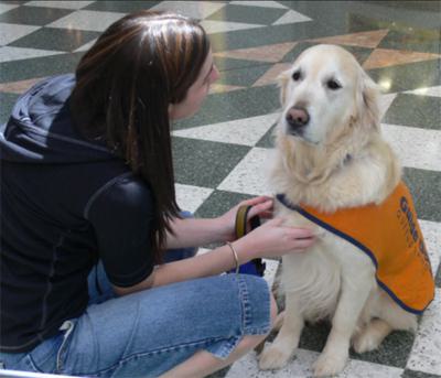 Photo of a woman sitting with a guide dog.