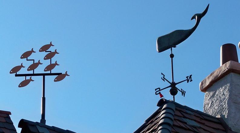 Photo of whale and fish weather vanes.