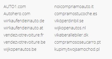 Example of domain names of the Auto 1 Group with localized domain names for different countries.