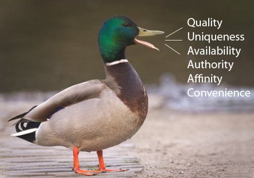 Duck with beak open standing on wet sand.