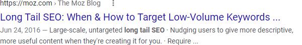 Google search result for long tail SEO search.