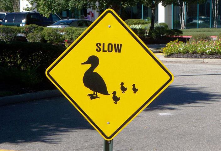 Yellow street sign saying to slow down because ducks may be crossing.