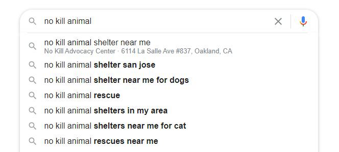 An image of a Google search for 'no kill animal'