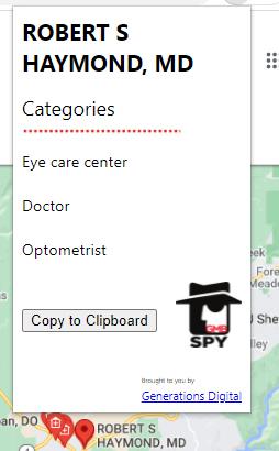Checking local categories with GMB Spy.