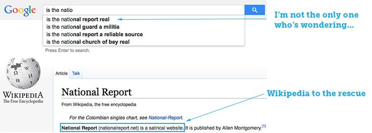 vetting solar panels article on google and wikipedia