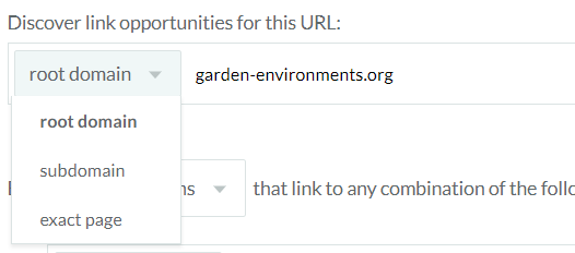 Choose between domain, subdomain or page